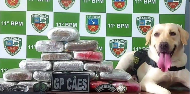 Mulher é presa com 17 tabletes de drogas escondidos em bolsas em barco no Amazonas