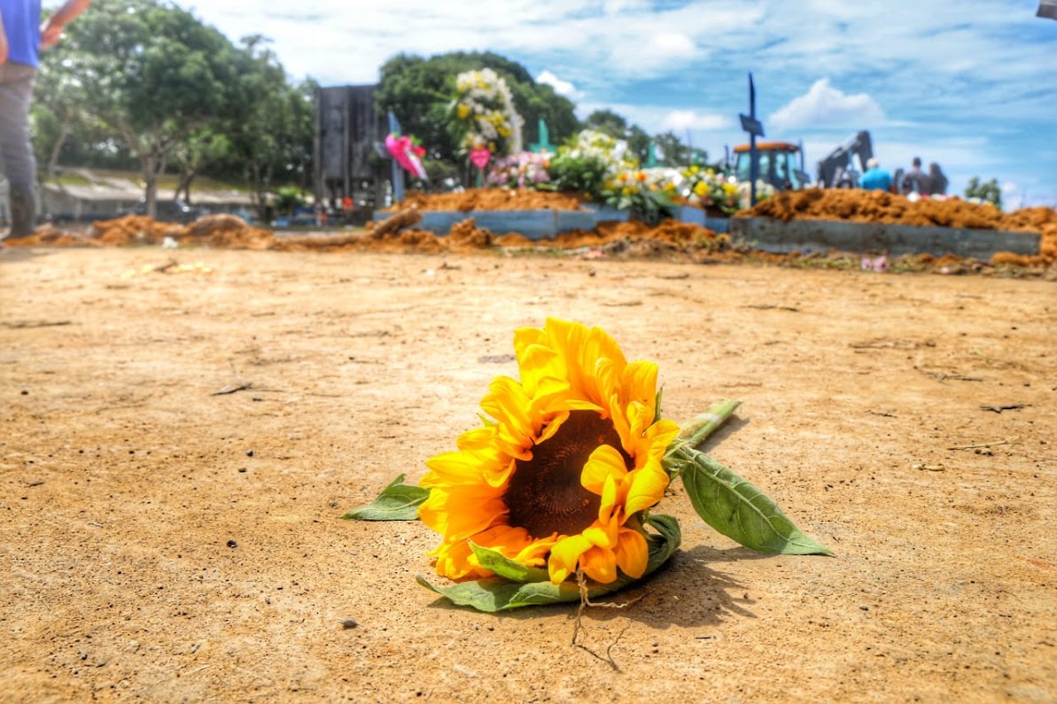 Amazonas tem mês com a maior queda no número de casos e mortes por covid-19