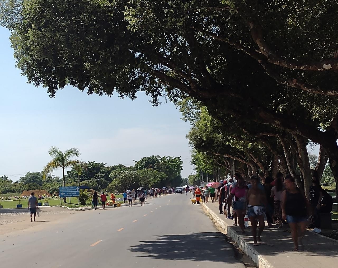 Confira linhas de ônibus que irão atender cemitérios de Manaus no Dia dos Finados