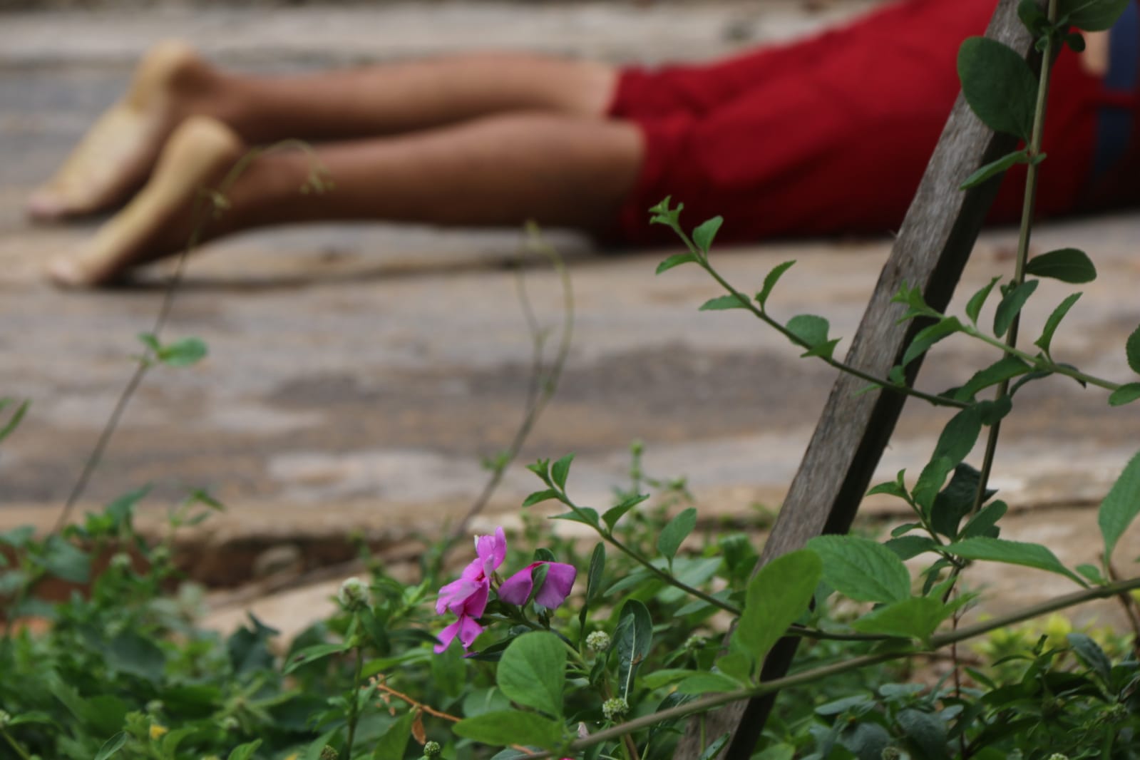 Jovem é assassinado em possível emboscada em Manaus