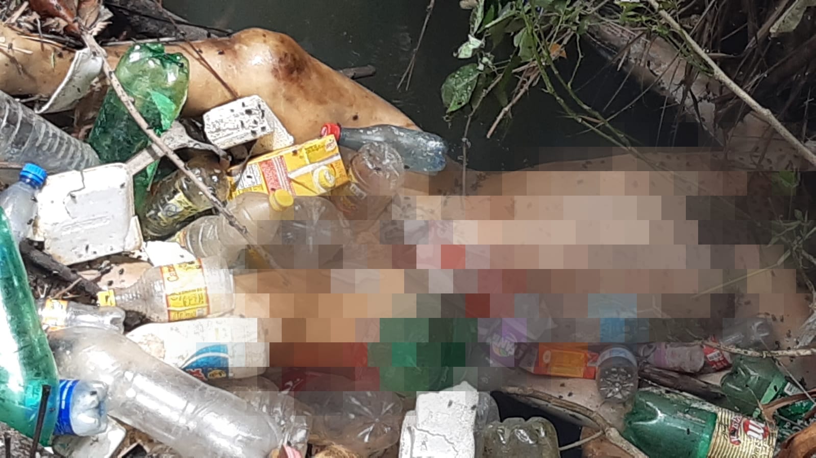 Homem sai para colher tucumã e encontra corpo em igarapé de Manaus