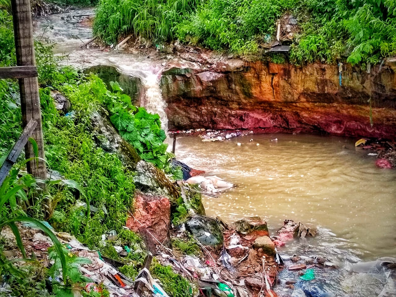 Esquartejado, corpo é encontrado boiando em igarapé na zona Oeste de Manaus