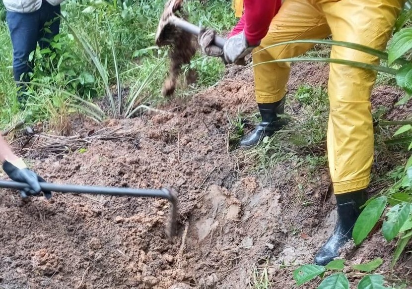 Adolescente teve os braços quebrados antes de ser enterrado em plantação de abacaxi no Amazonas