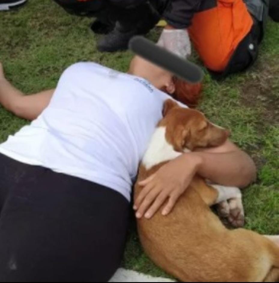 Ao desviar de cachorro, mulher cai de moto e animal deita ao lado dela durante resgate