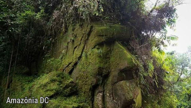 Face humana de pedra na Amazônia peruana desperta curiosidades dos viajantes