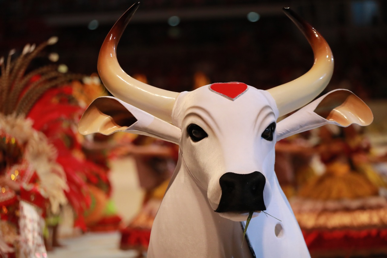 Presidente do Boi Garantido extingue cargos após derrota na arena