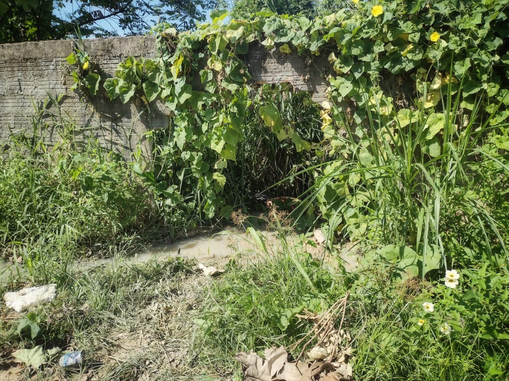 Corpo de homem é encontrado em matagal em Manaus 