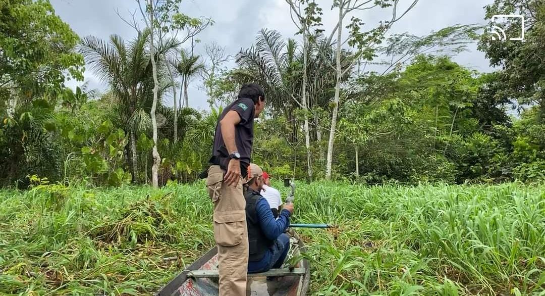 Cabeça humana é encontrada em lago no interior do Amazonas