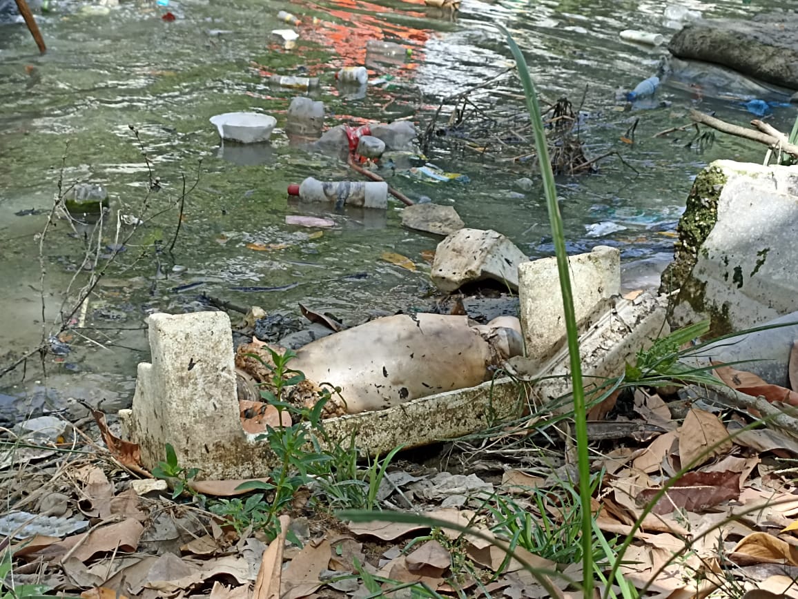 Corpo esquartejado achado no Parque dos Bilhares estava escondido em caixa de isopor