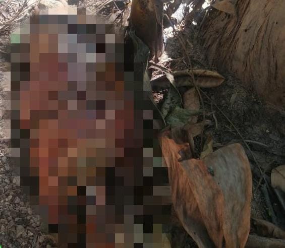 Guarda encontra novas partes de corpo em igarapé de Manaus e diz que mão foi comida por jacaré