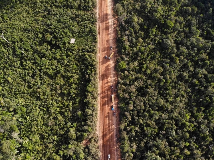 Maioria dos candidatos ao Governo do Amazonas quer BR-319 finalizada