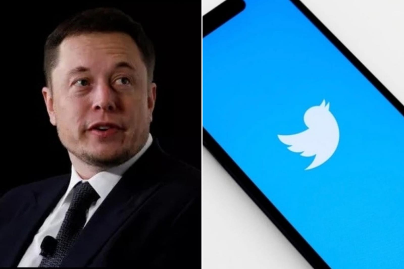 Em meio à briga judicial, Elon Musk aceita comprar Twitter por US$ 44 bilhões