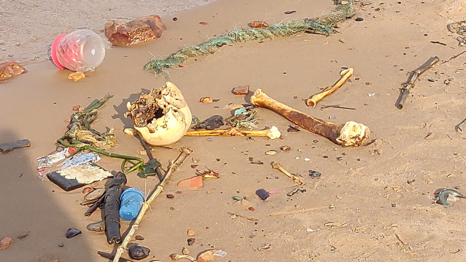 Ossada humana é encontrada às margens de rio na Feira da Manaus Moderna