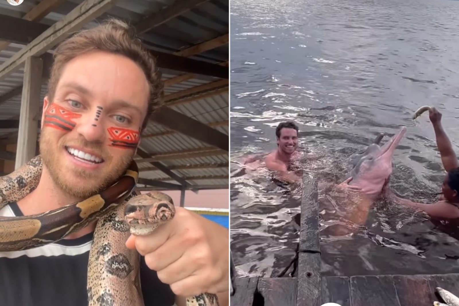 Ex-BBB Lucas Bissoli nada com botos e come pirarucu em visita a Manaus