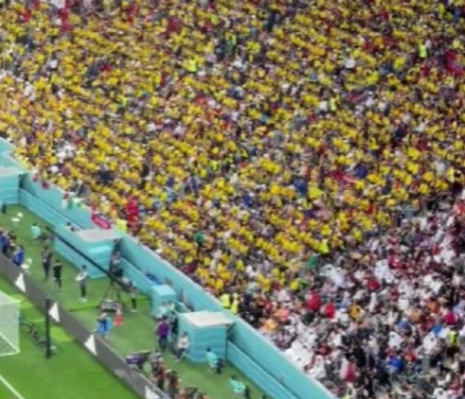 'Queremos cerveja', gritam torcedores do Equador durante jogo da Copa; vídeo