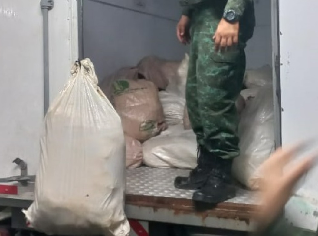 Motorista de caminhão é preso com 3,2 toneladas de pirarucu ilegais no Porto de Manaus