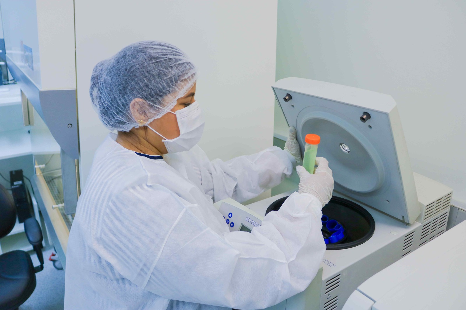 Estudo no Amazonas investiga planta com poder anticancerígeno para tratar leucemias