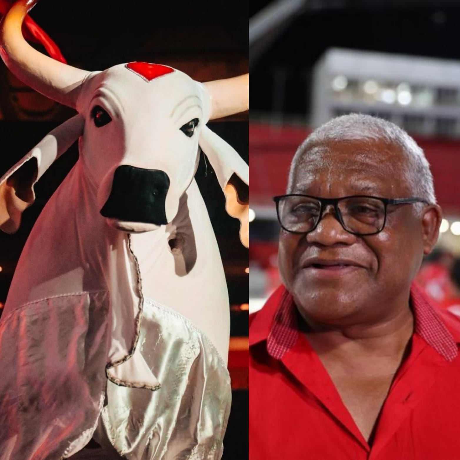 Presidente ameaça tirar boi Garantido do Festival de Parintins 2023