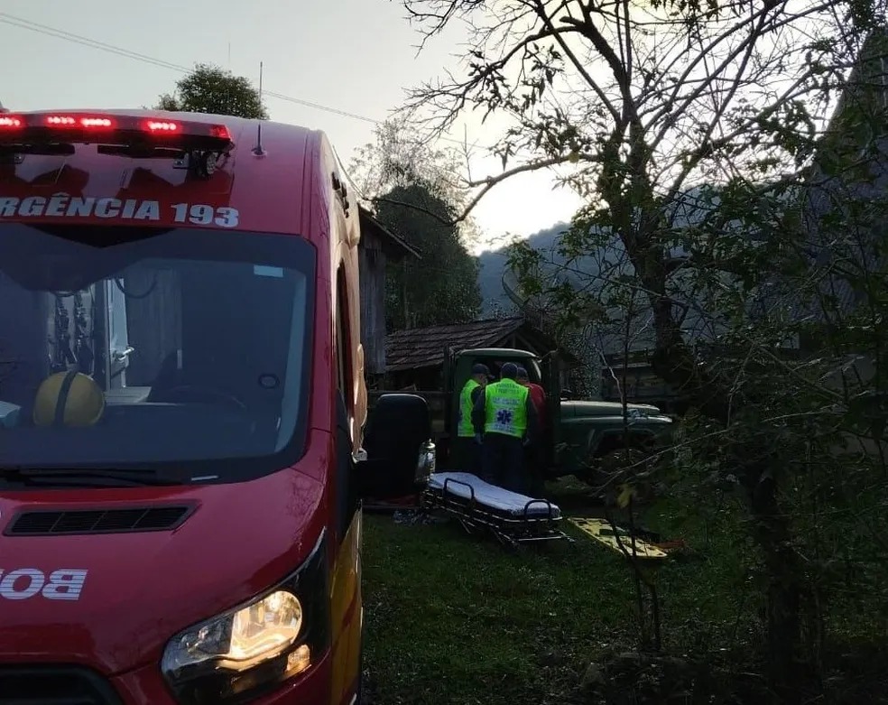 Avó é atingida por árvore ao tentar salvar neto