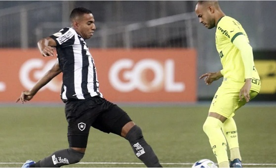 Palmeiras vira jogo nos minutos finais e vence Botafogo pelo Brasileirão