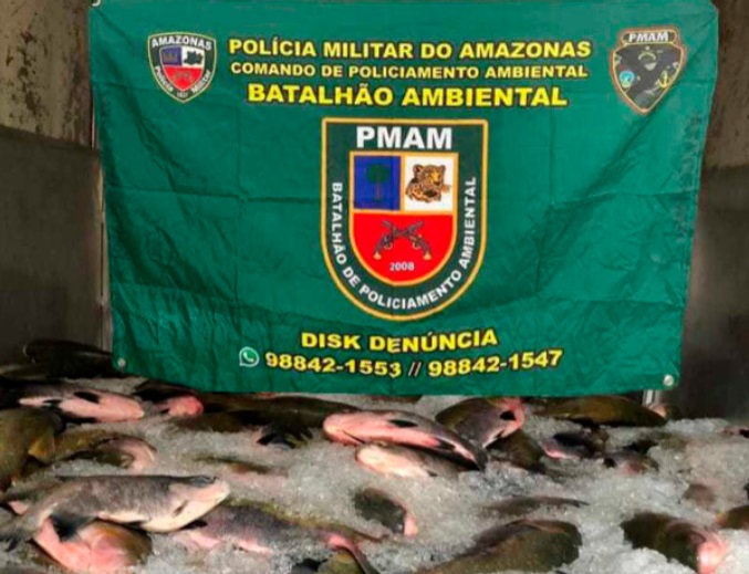 Trio é preso em Manaus com mais de 1,5 tonelada de pescado avaliado em R$ 233 mil 