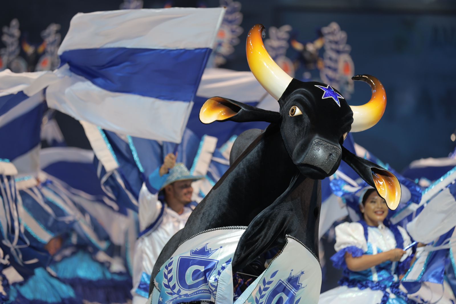 Eleição para definir novo presidente do Caprichoso será realizada em setembro no Amazonas