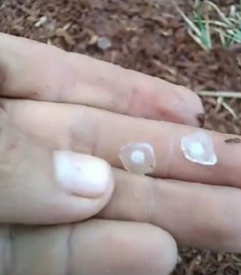 Chuva de granizo e ventania causam prejuízos no Amazonas