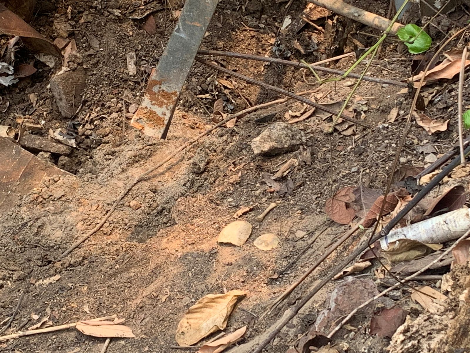 Caso Débora: Família acredita ter encontrado restos mortais do bebê