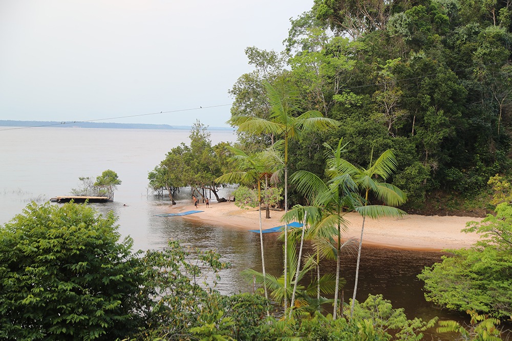 Vamos turistar no Sítio Bom Futuro? Uma Joia Escondida que Encanta Visitantes