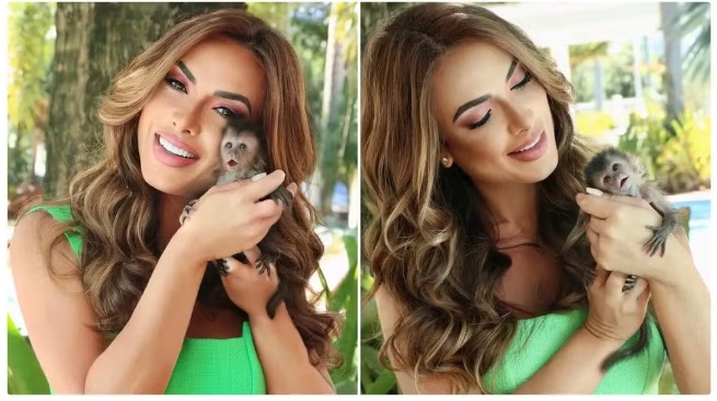 PF prende criminosos por tráfico de animais silvestres após apreensão de macacos de Nicole Bahls