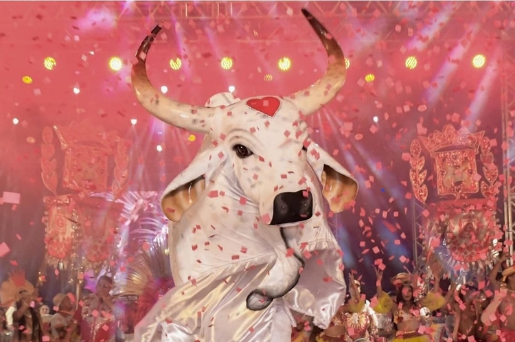 Batucada do Boi Garantido realiza ensaio neste domingo no Olímpico