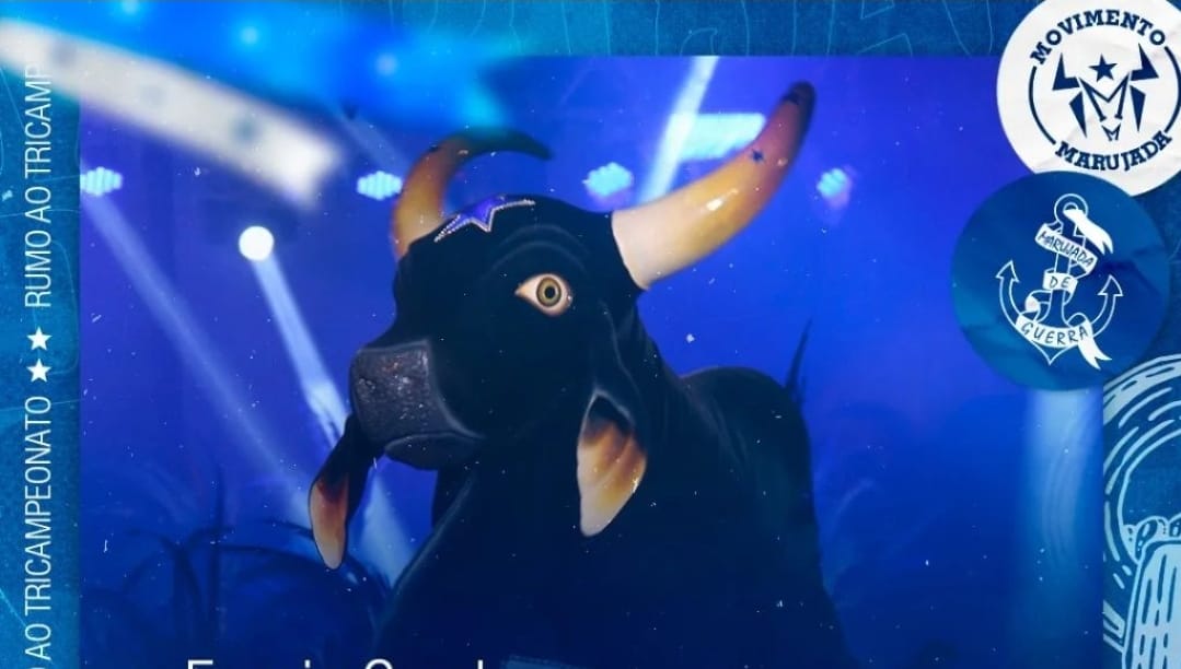 Caprichoso arrecada doações para Rio Grande do Sul em Manaus; Veja pontos de coleta