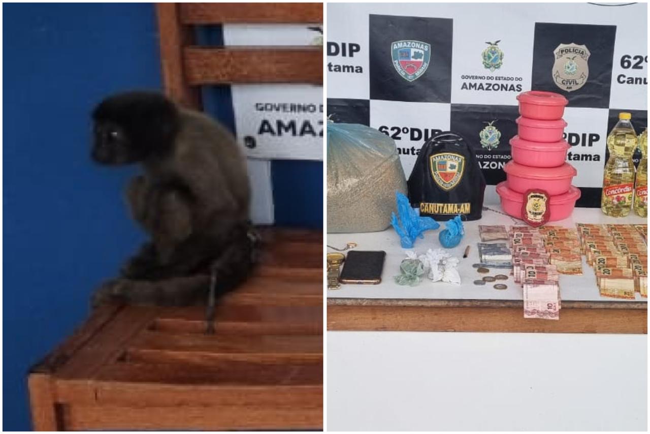 Macaco vítima de maus-tratos é resgatado das mãos de traficante no Amazonas