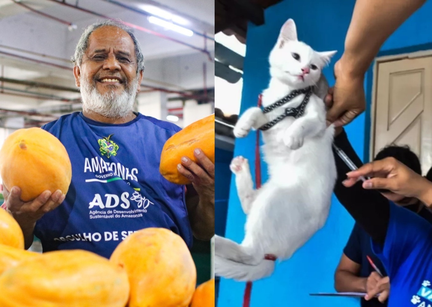 Semana do Meio Ambiente em Manaus terá feira da ADS, castração e vacinação antirrábica