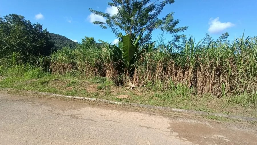 Pai arremessa a própria filha de 1 mês em barranco e acaba preso 