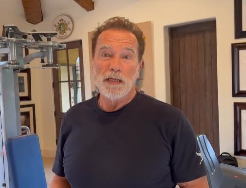 Idosa que caiu em golpe de falso Schwarzenegger vai receber R$15 mil após acordo