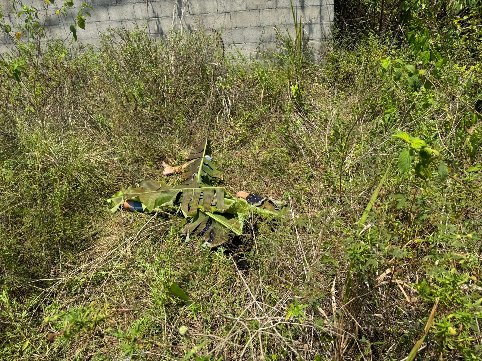 Com marcas de tortura, mulher é achada morta em matagal no Tarumã