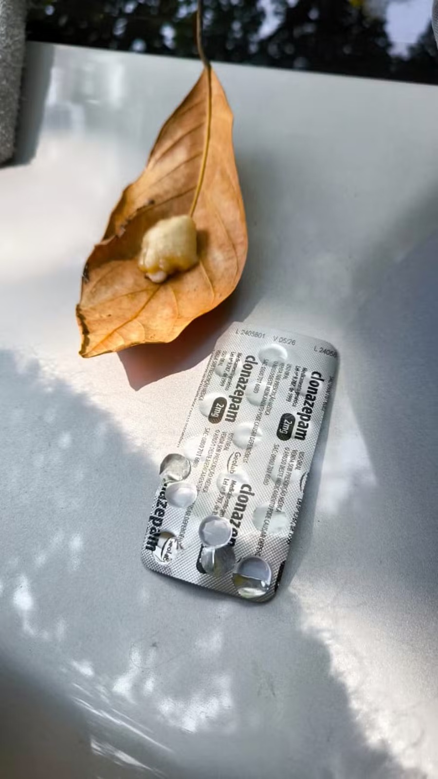 Casal é preso com calmante para dopar macacos em Jardim Botânico