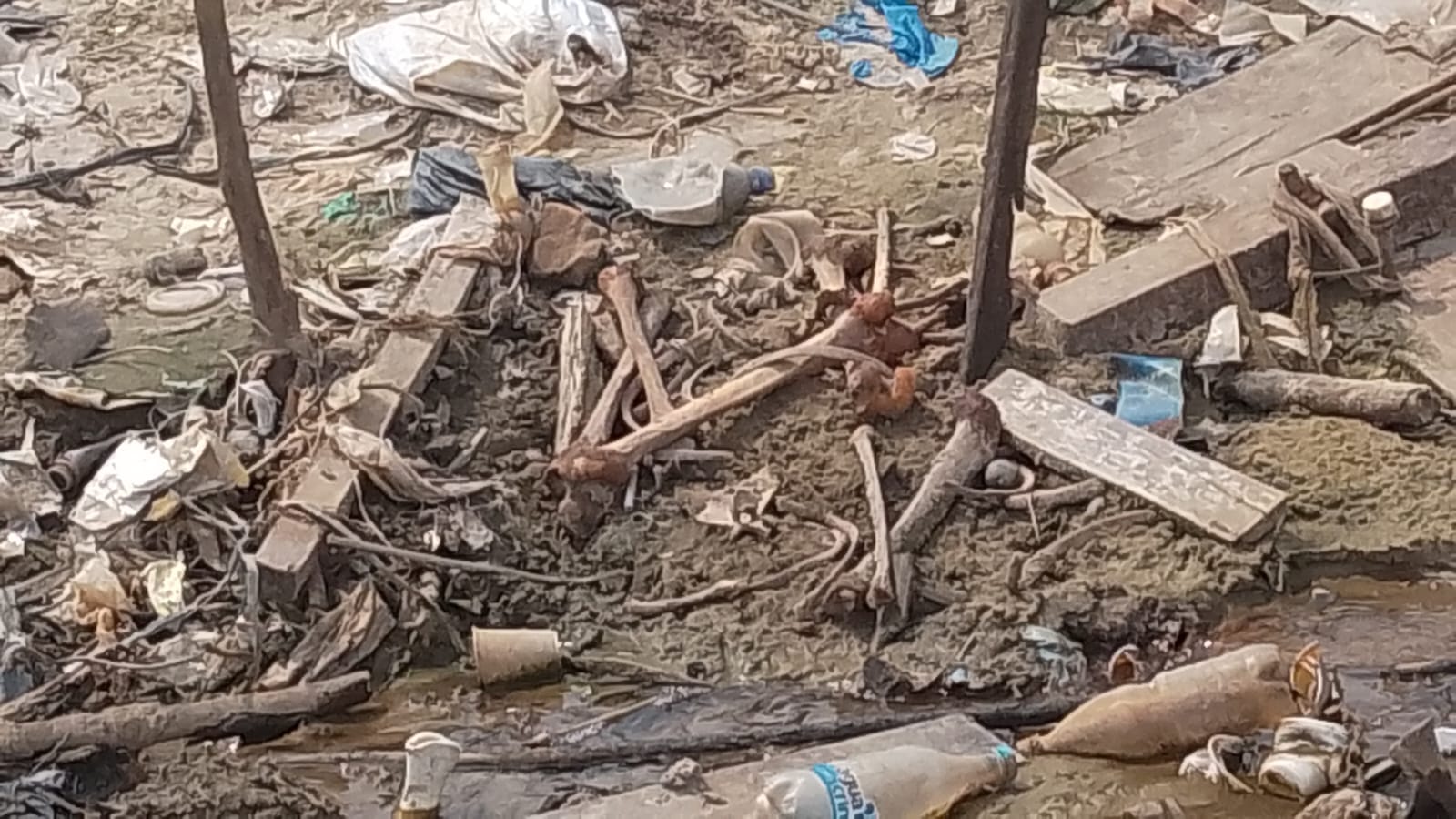 Pescadores encontram ossada humana na Feira da Panair; é a 2ª nesta semana