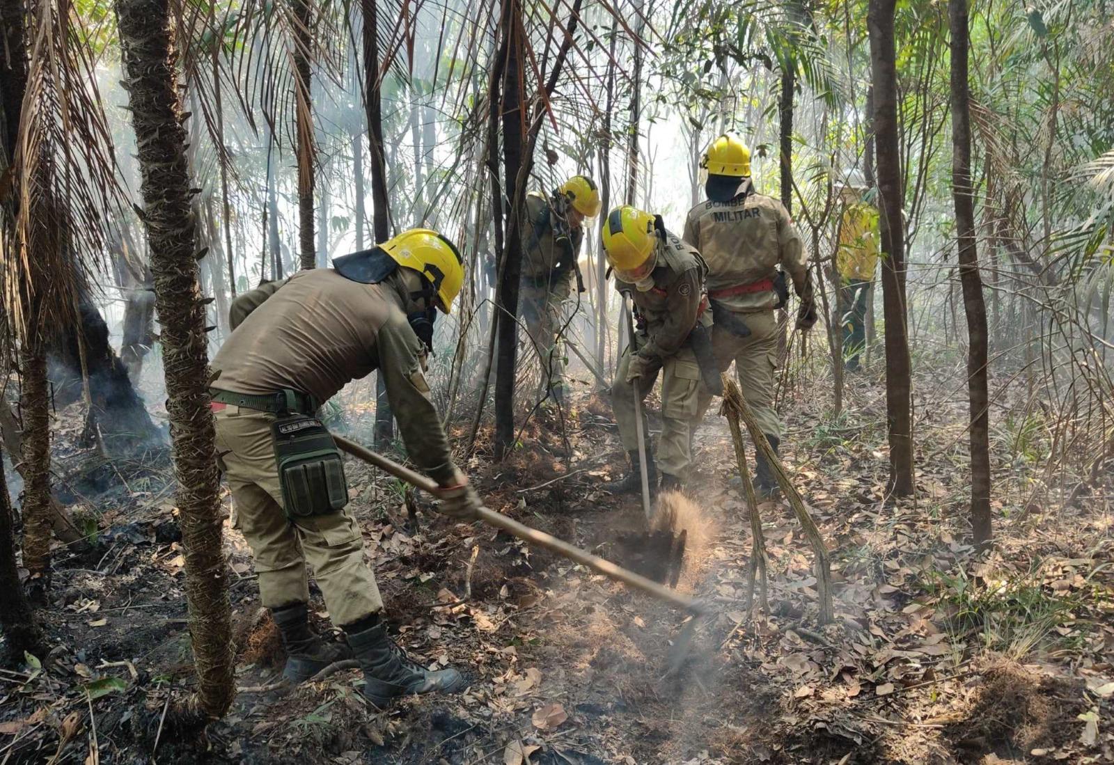 Em setembro, Corpo de Bombeiros combateu mais de 6,6 mil focos de incêndio no estado