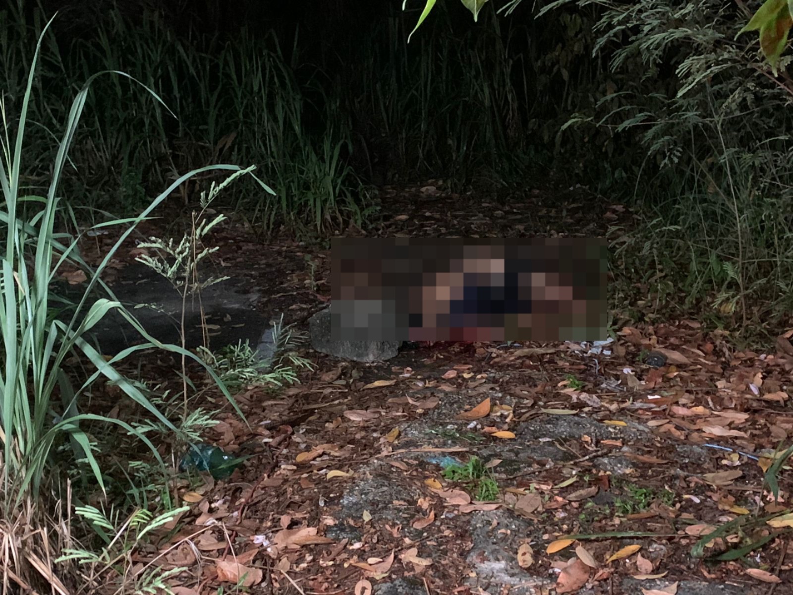 Homem tem cabeça esmagada a pedradas e corpo é deixado seminu em matagal em Manaus