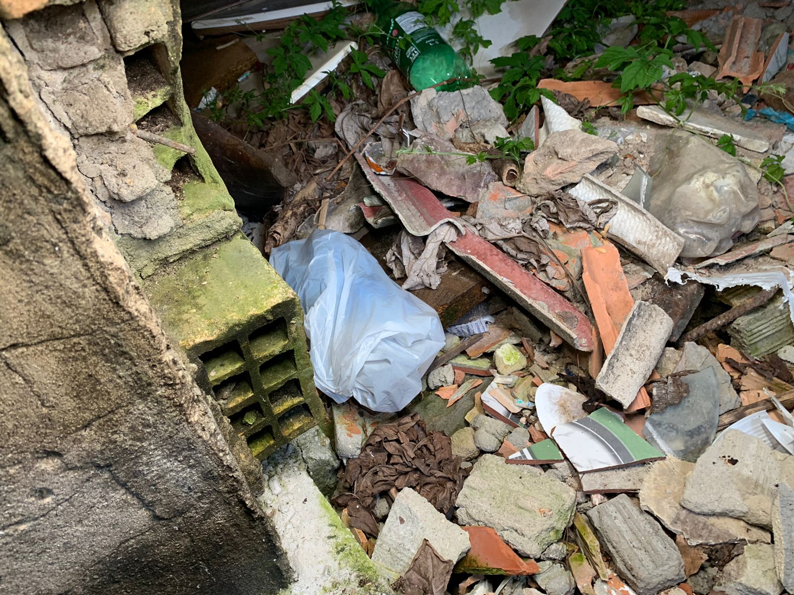 Protetor de animais encontra artefato explosivo em quintal de casa em Manaus