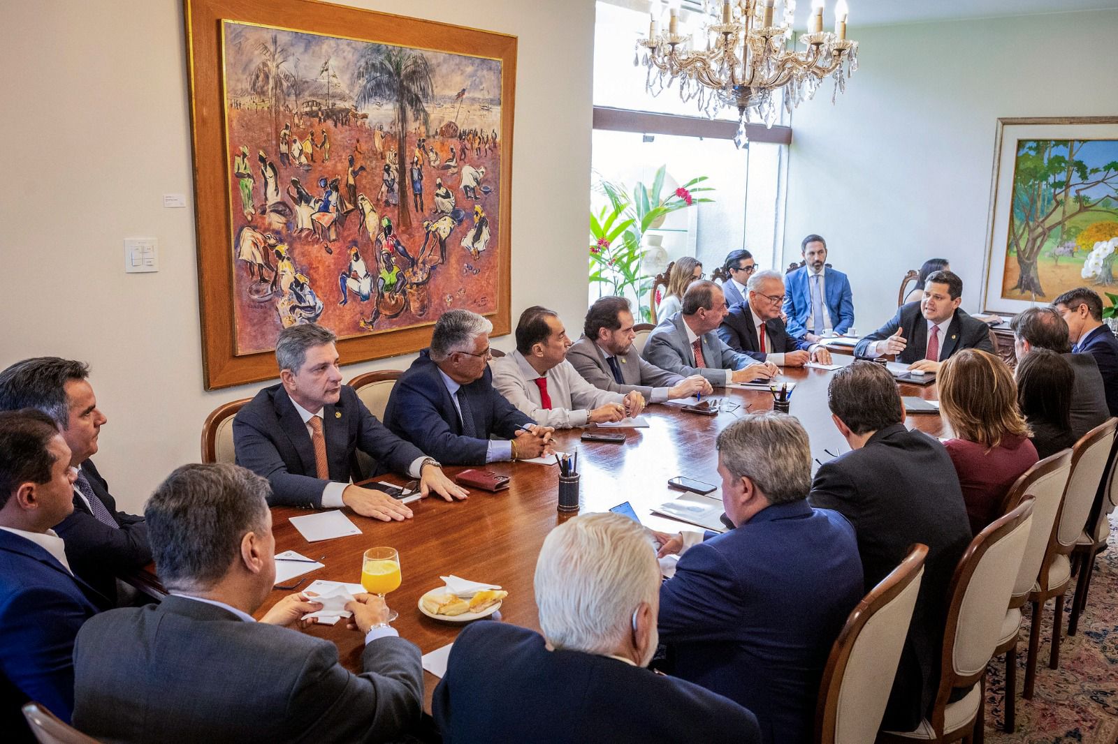 Plínio Valério participa de reunião para definir rumos do Senado e comissões para reconstrução da BR-319