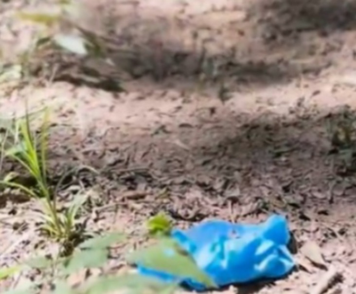 Corpo de Vitória foi encontrado por cão farejador a 5 km de sua casa