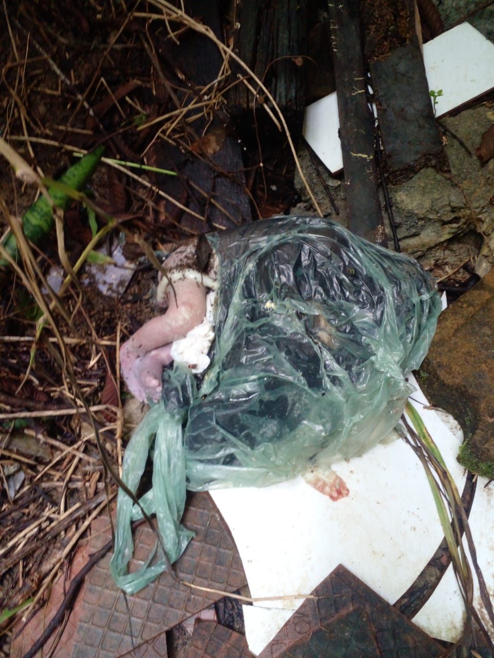 Recém-nascido é achado morto em meio ao lixo no Colônia Antônio Aleixo