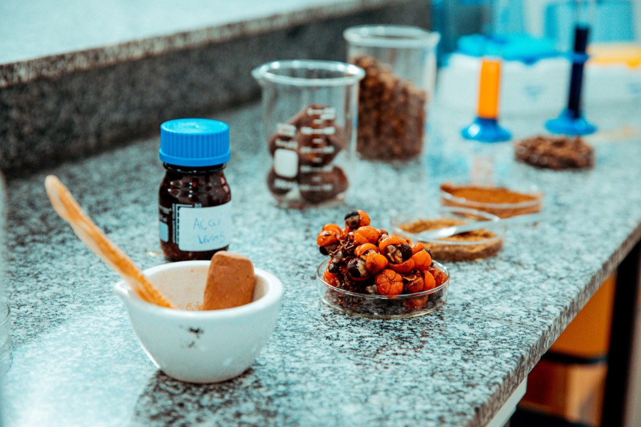 Suplemento que pode atenuar os sintomas da Doença de Parkinson é desenvolvido no Amazonas