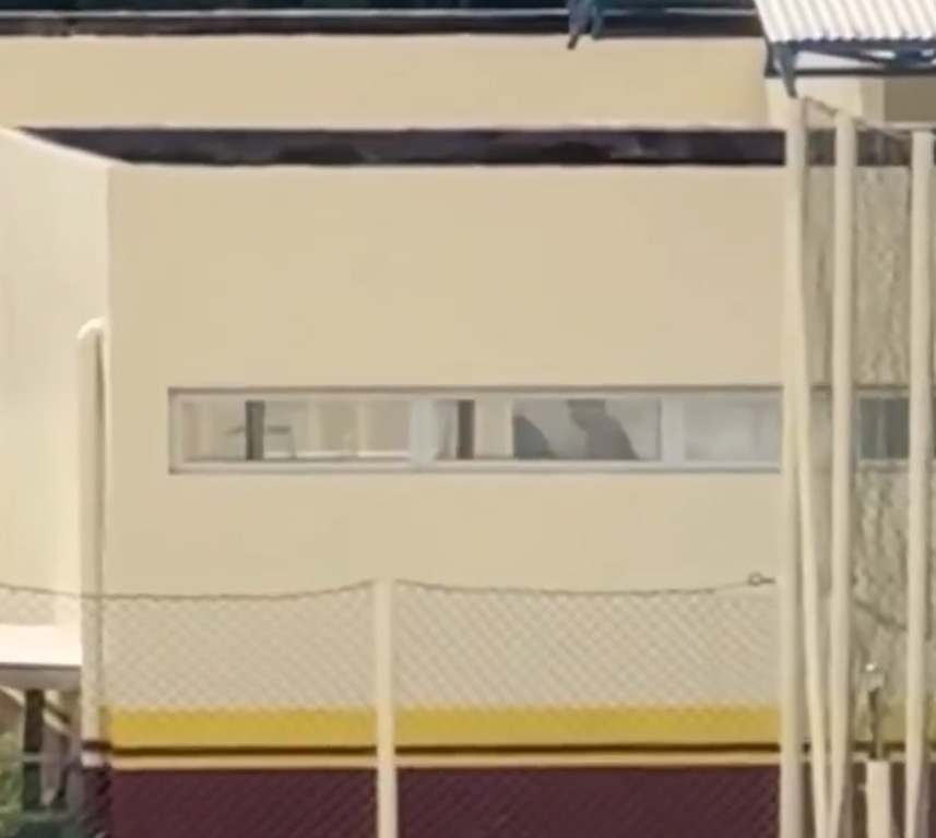 Casal é filmado por estudantes ao fazer sexo ao lado de escola em Presidente Figueiredo