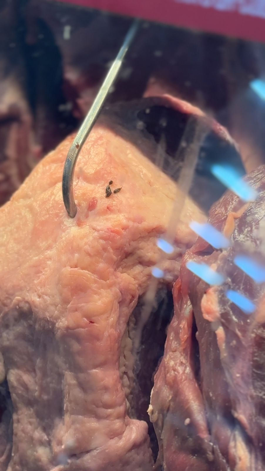 Após flagra de rato entre carnes, supermercado é autuado por vender alimentos impróprios em Manaus