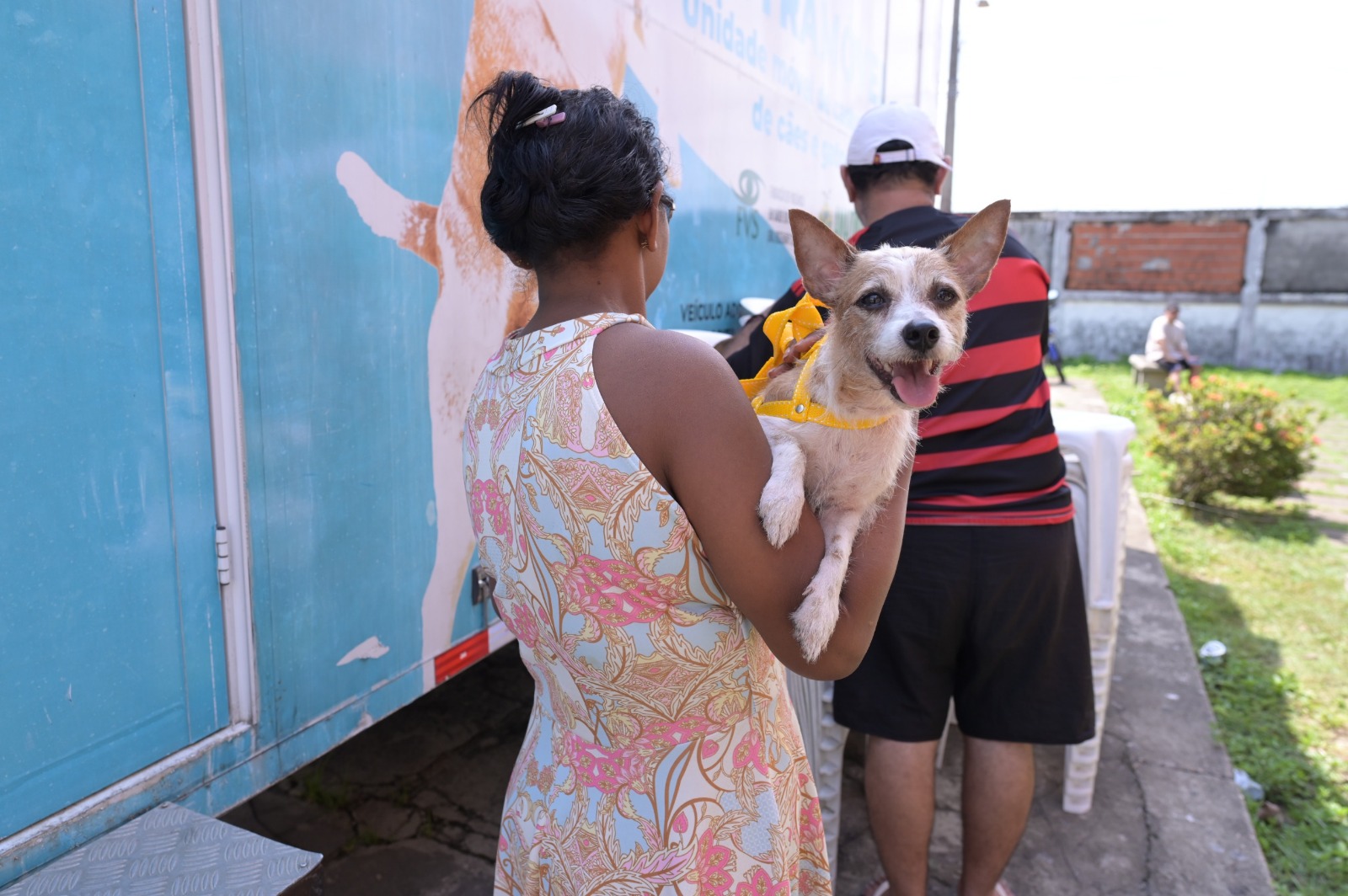 Silves recebe Castramóvel com castração e vacinação gratuitas para pets