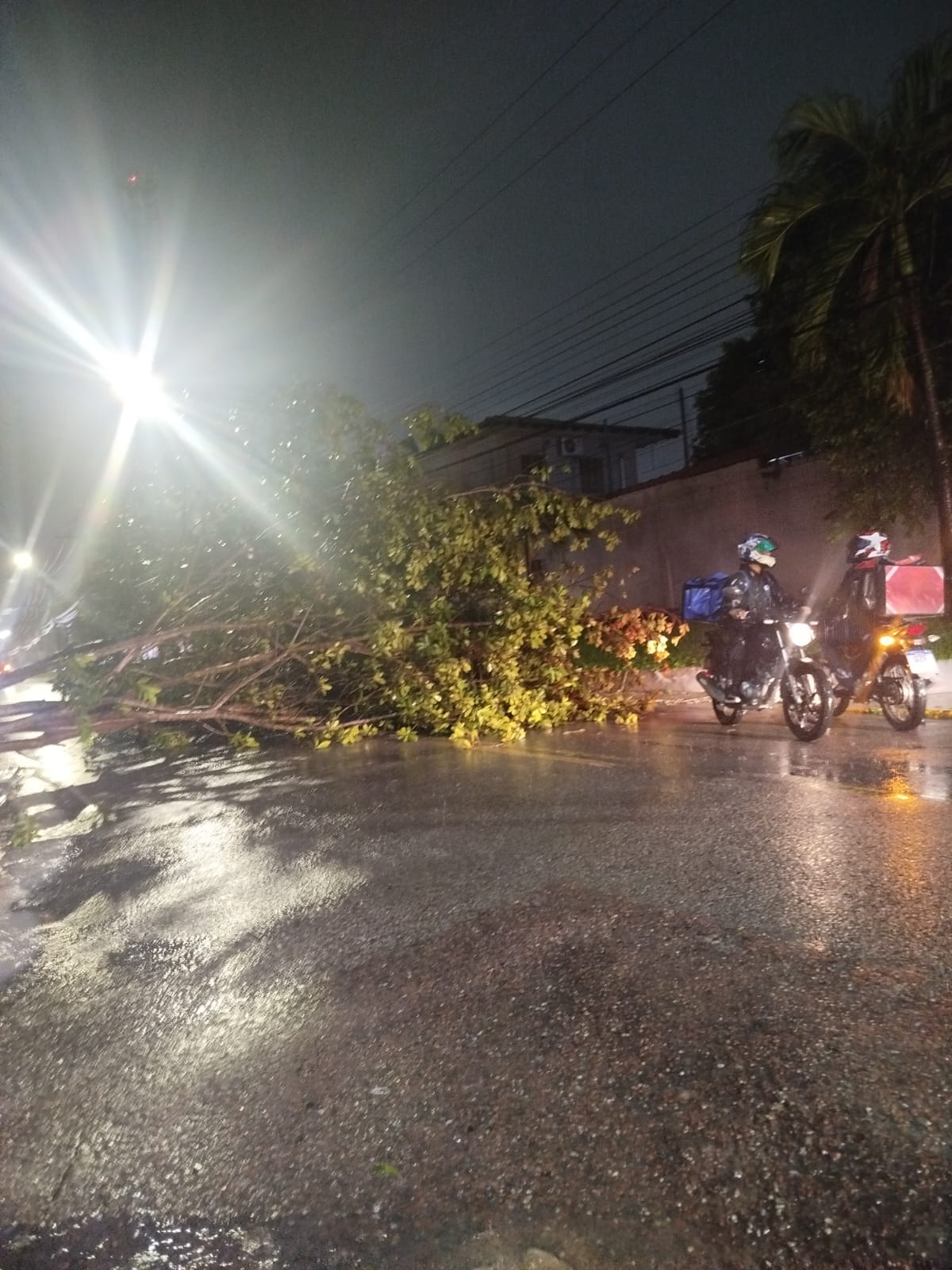 Árvores caídas, bairros alagados e ventos de 55 km/h: Manaus registra 32 ocorrências devido a chuva